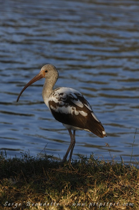 2009-01-05 16-32-19__MG_0414.JPG